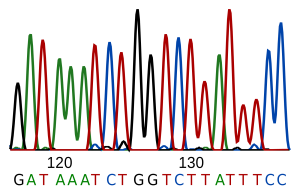 DNA Sequencing (wikipedia.org)
